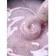 DARK Medium Potal Gel no.02 15 ml (no brush)