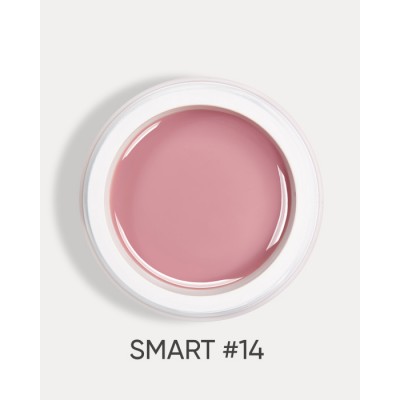 Dark Smart Builder gel 14 22 ml