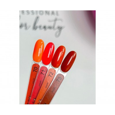 Gel polish Edlen Color 9 ml no.070