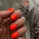 Gel polish Autumn 132 Rowan 10 ml GAMA