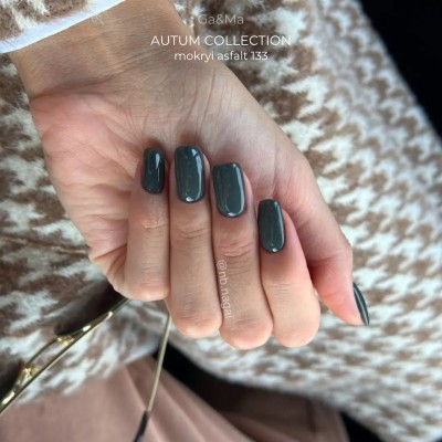 Gel polish Autumn 133 Wet Asphalt 10 ml GAMA