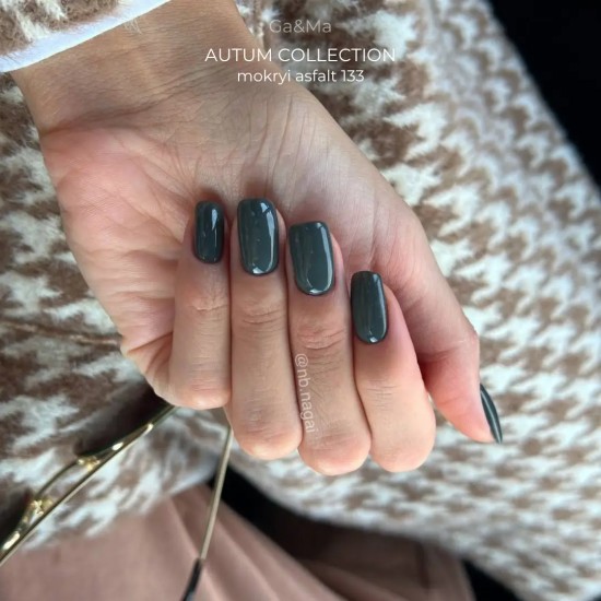 Gel polish Autumn 133 Wet Asphalt 10 ml GAMA