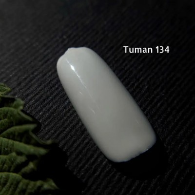 Gel polish Autumn 134 Mist 10 ml GAMA