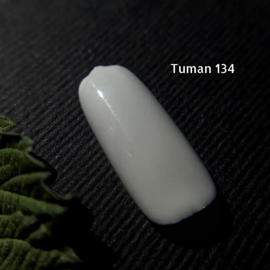 Gel polish Autumn 134 Mist 10 ml GAMA