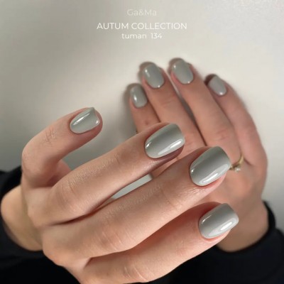 Gel polish Autumn 134 Mist 10 ml GAMA