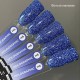 Gel polish Holographic 006 10 ml GAMA