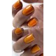 Gel polish Grace 10 LUKUM 10 ml