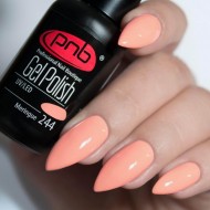 Gel polish PNB  244 8 ml