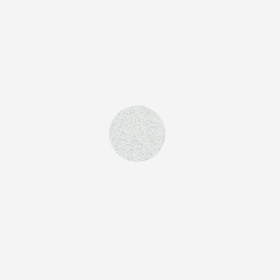Refill set nail file white soft for PODODISC STALEKS PRO XS 100 grit (50 pcs)