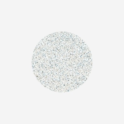 Refill set nail file white PODODISC STALEKS PRO M 80 grit (50 pcs)
