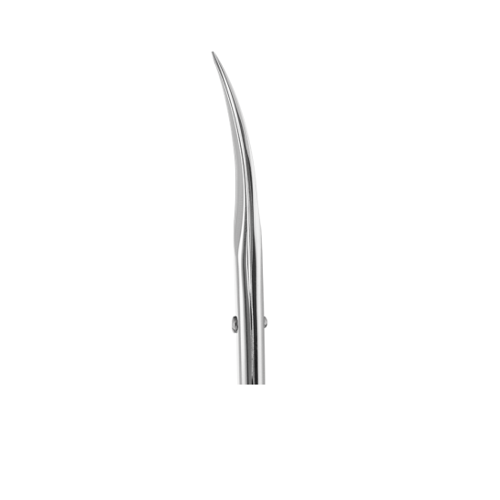 Scissors for cuticule EXPERT 10 TYPE 2 (21 mm) SE-10/2 STALEKS