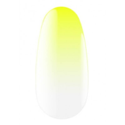 Express spray for ombre 13 5 g Kodi professional